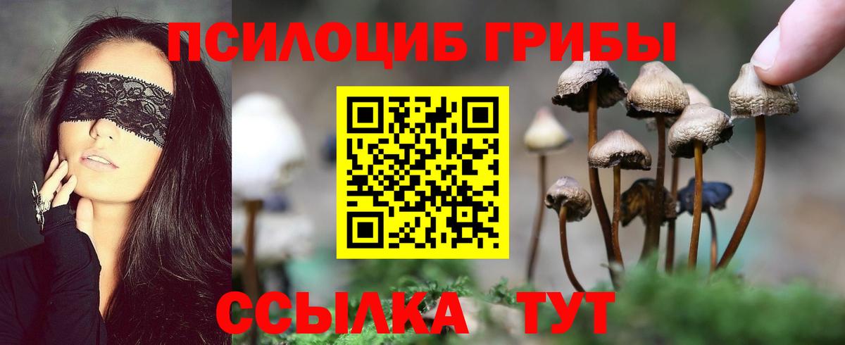 Галлюциногенные грибы мицелий  Псилоцибиновые грибы мухоморы  Новоалександровск  Вход с VPN 