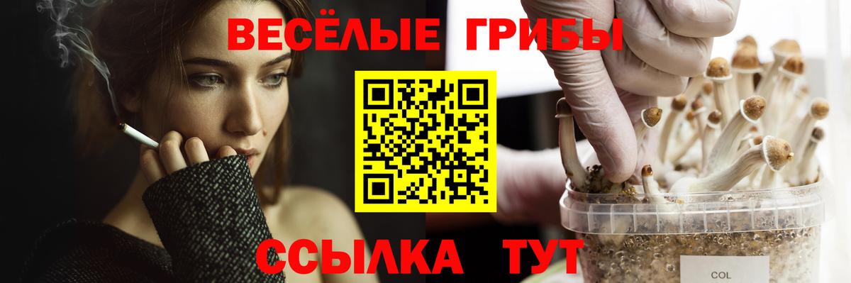 Галлюциногенные грибы GOLDEN TEACHER Новоалександровск